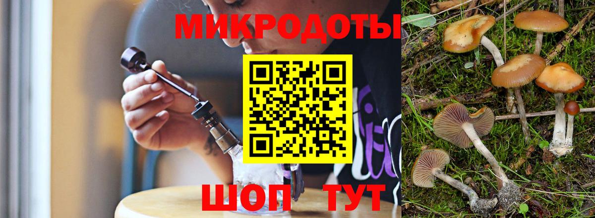Кулебаки  Галлюциногенные грибы Psilocybe  Псилоцибиновые грибы прущие грибы  Вход с VPN 